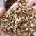 炒麦芽芽多质量好价格低产地直销量大从优