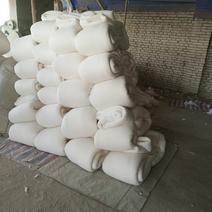 新疆优质棉花