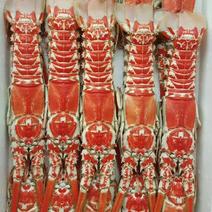 红龙虾
