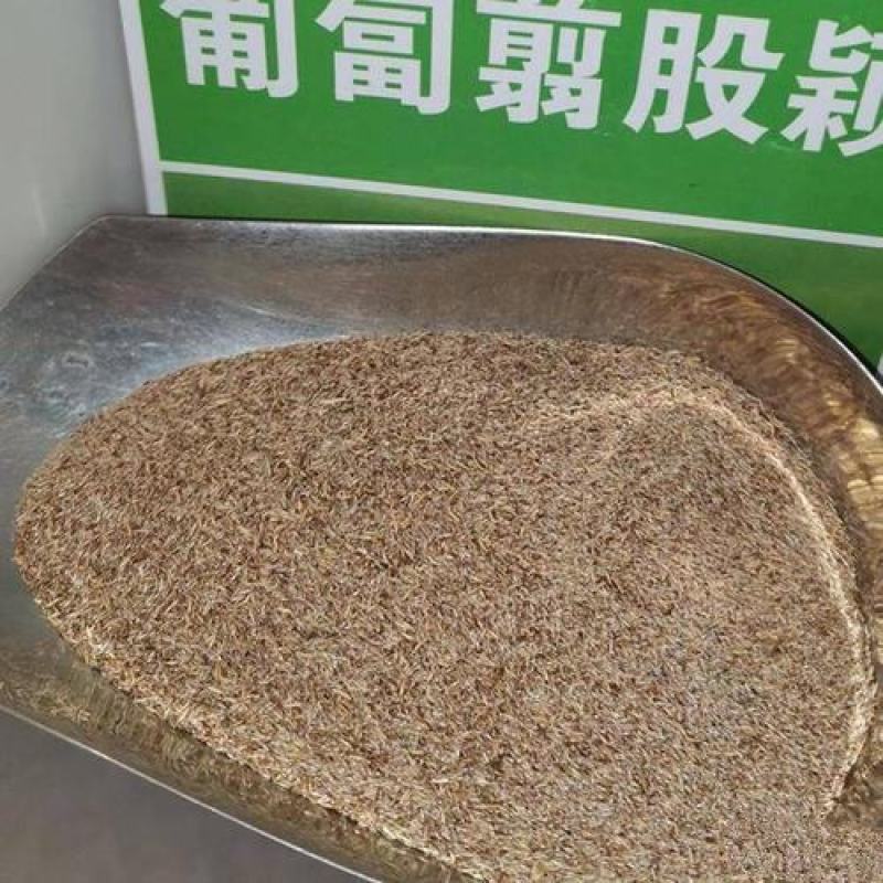 匍匐剪股颖草籽免修剪庭院矮生四季青北方耐寒高档别墅高尔夫