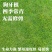 矮生百慕大种子矮生四季青草籽耐旱耐践踏天堂草草坪