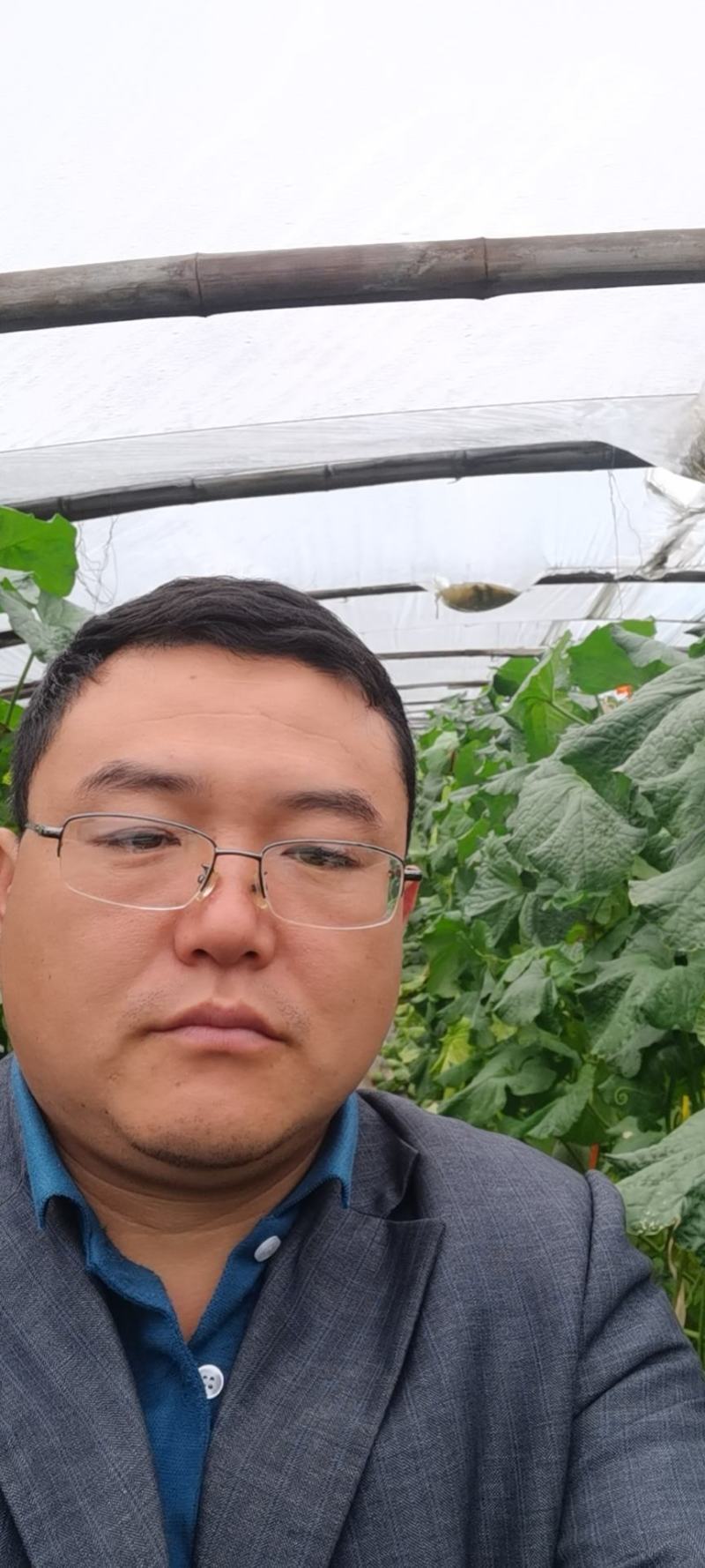 哈密瓜