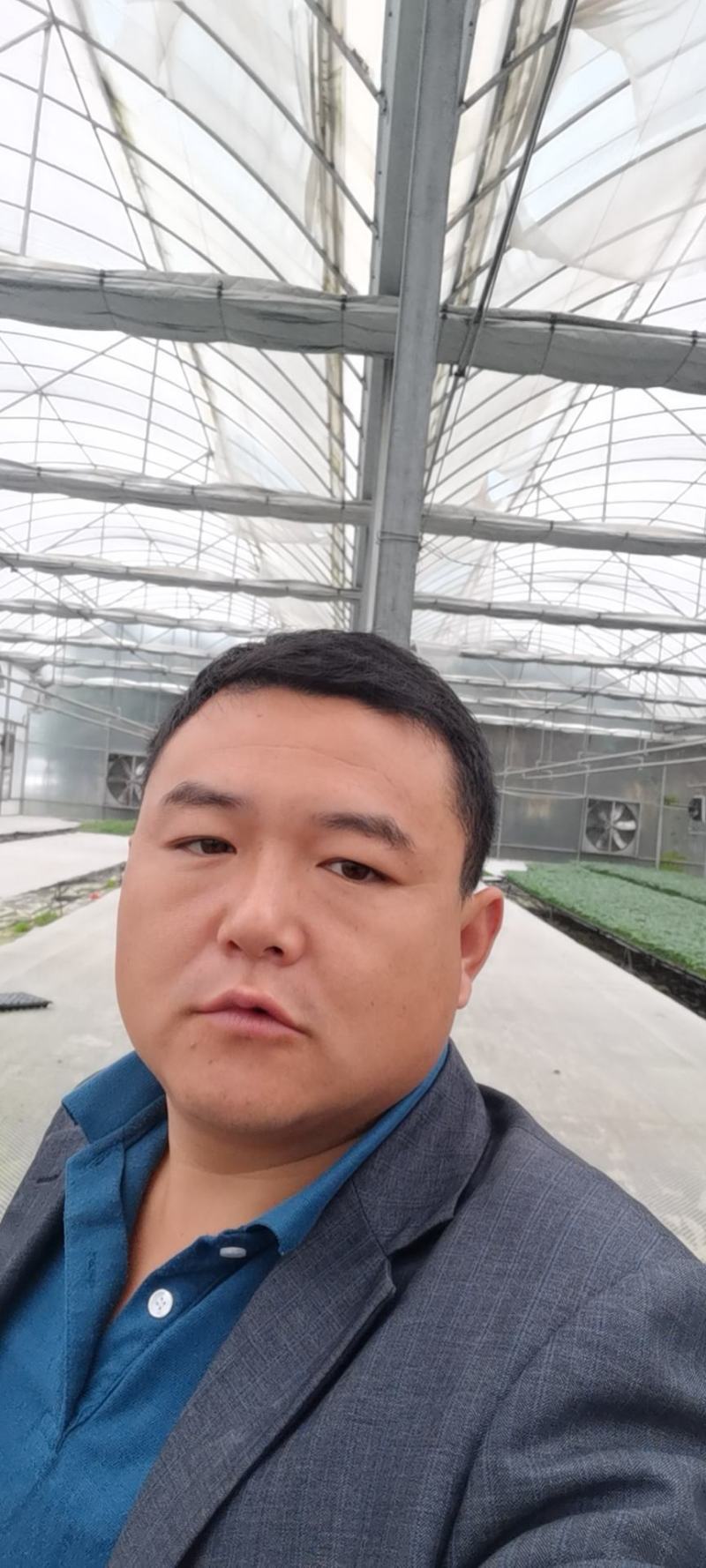 辣椒苗