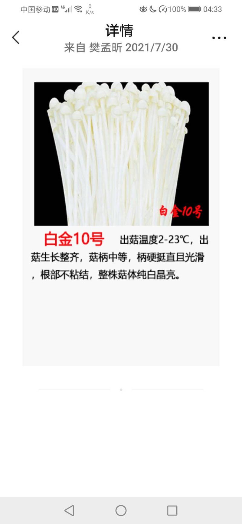 金针菇菌种二级原种！800毫升标准制种塑料瓶装