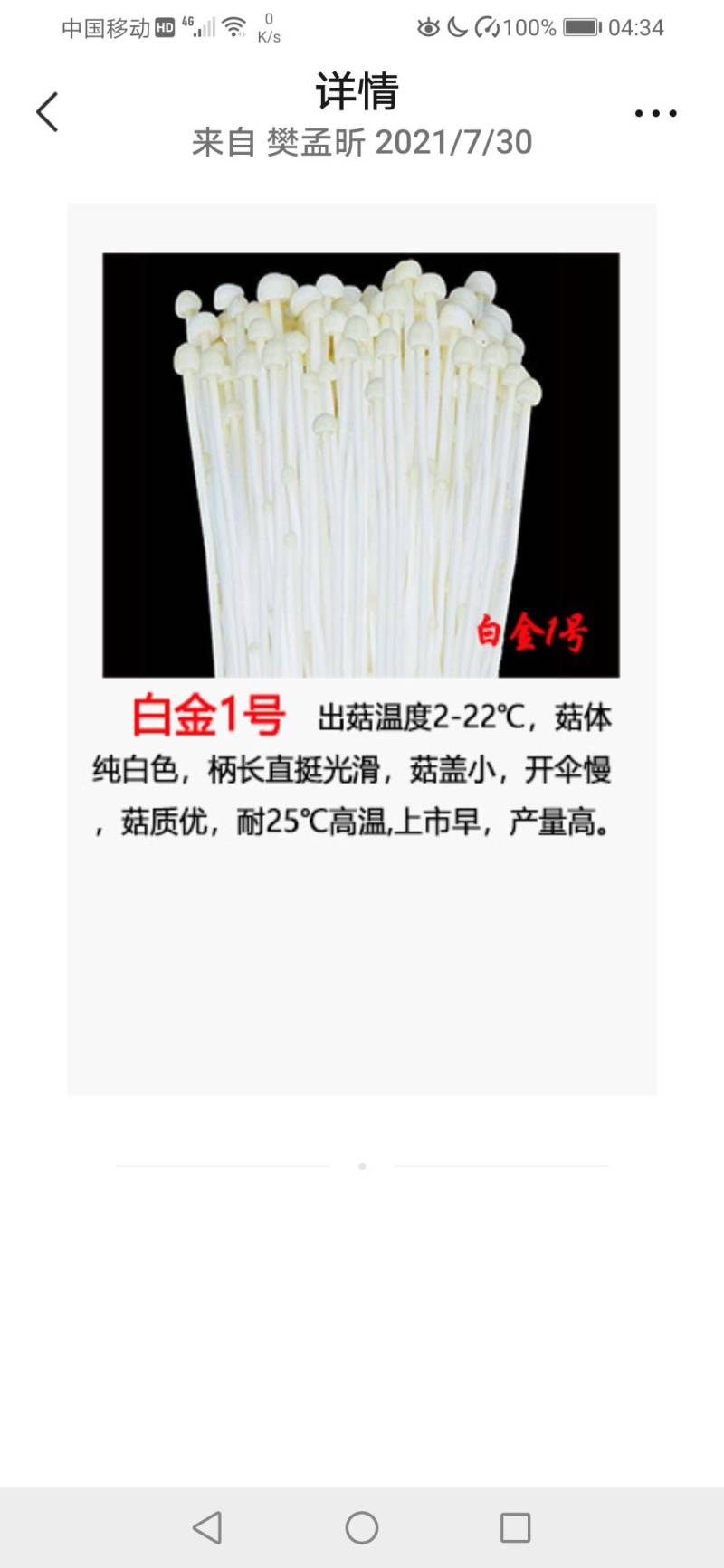 金针菇菌种二级原种！800毫升标准制种塑料瓶装