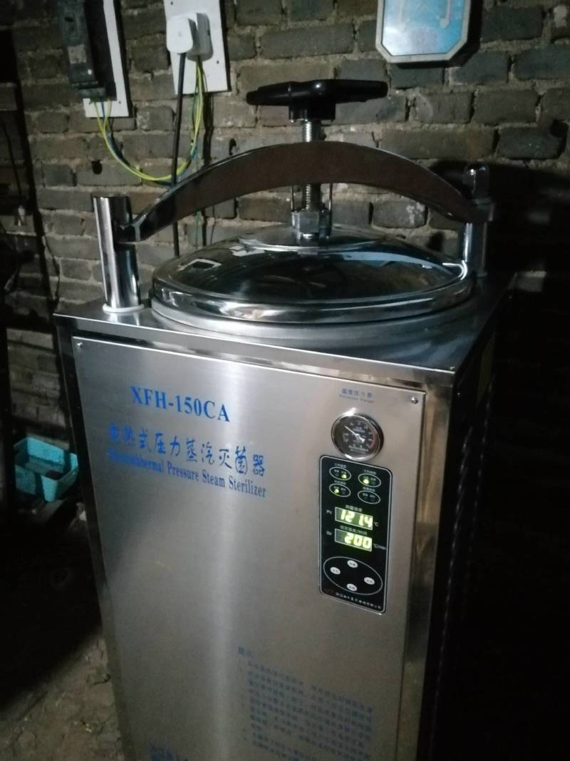 金针菇菌种二级原种！800毫升标准制种塑料瓶装
