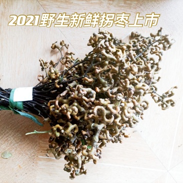 拐枣秦岭野生拐枣万寿果鸡爪梨金钩子枳椇子安康拐枣泡酒生吃