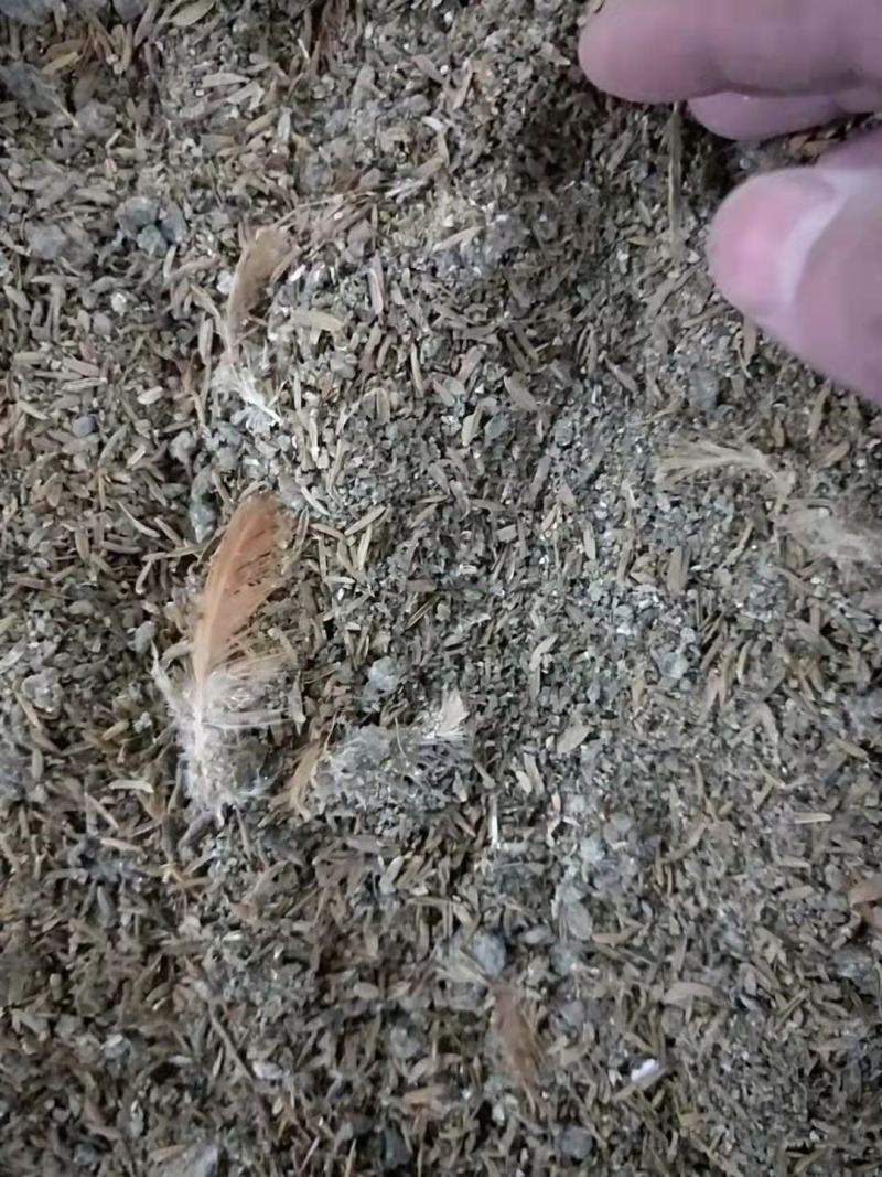 鸡粪稻壳鸡粪麻鸡粪稻壳有机肥常年供应质优价廉