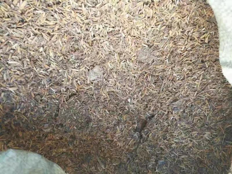 鸡粪稻壳鸡粪麻鸡粪稻壳有机肥常年供应质优价廉