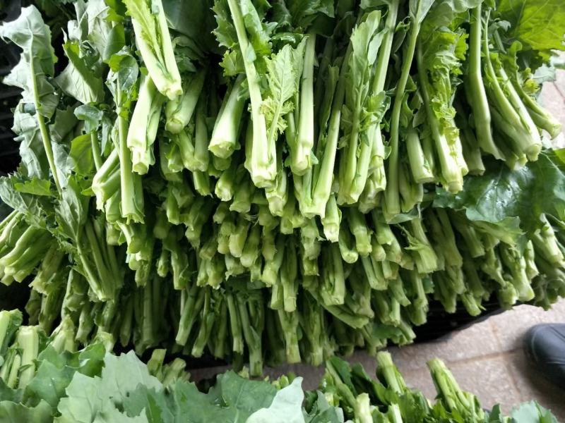 豌豆尖！油菜苔