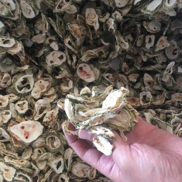 原产地自然晾晒苦瓜干苦瓜片寿光市苦瓜干产地