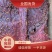 大块肉，干货麻辣五香两个味道，酱香肉，大量现货供应