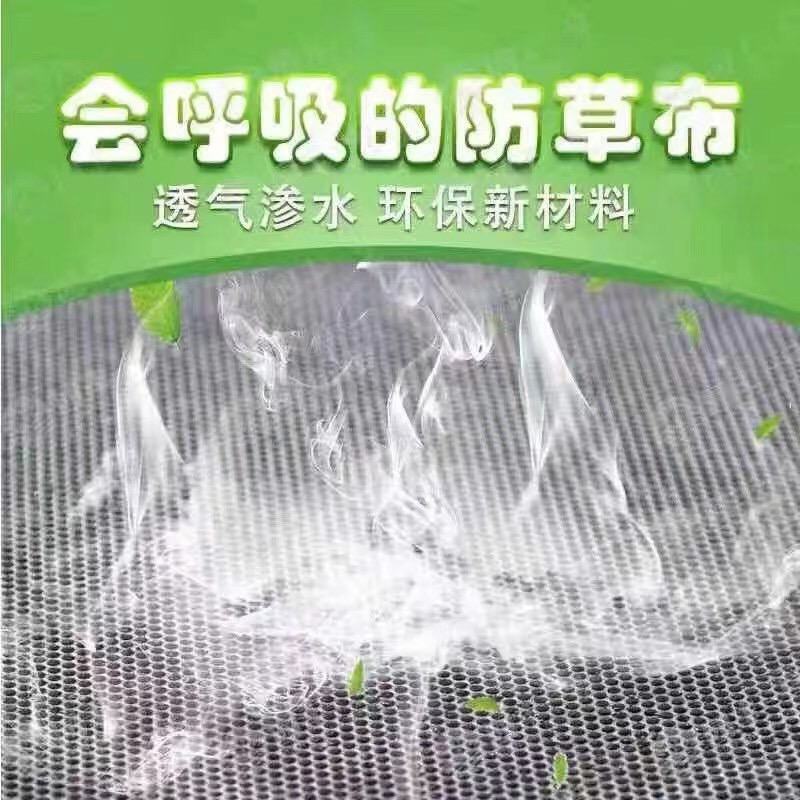 生态可降解防草布除草布绿黑色生态可降解防草布（单张）