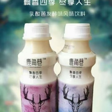 网红鹿角巷乳酸菌特价走量款，适合团购、平台、餐饮、商超等