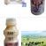 网红鹿角巷乳酸菌特价走量款，适合团购、平台、餐饮、商超等