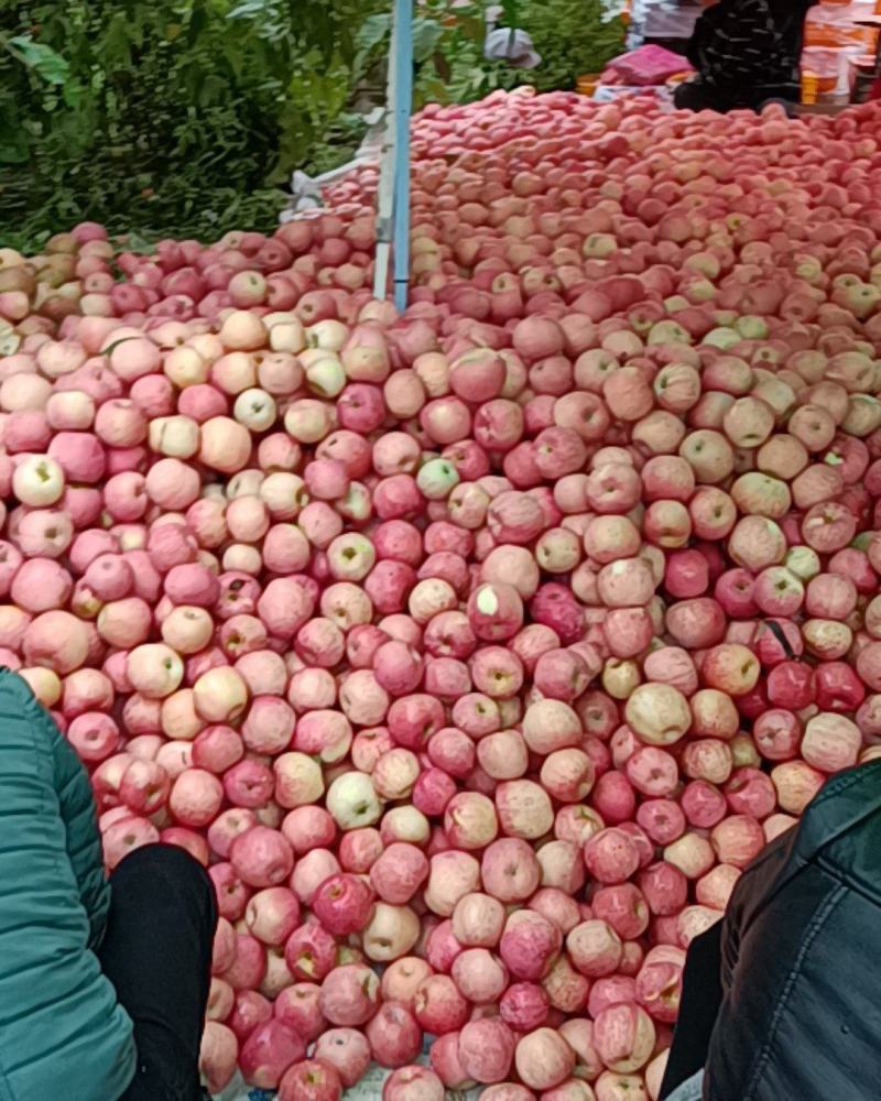 苹果下检：