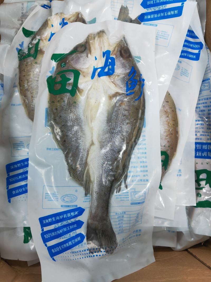 鲈鱼