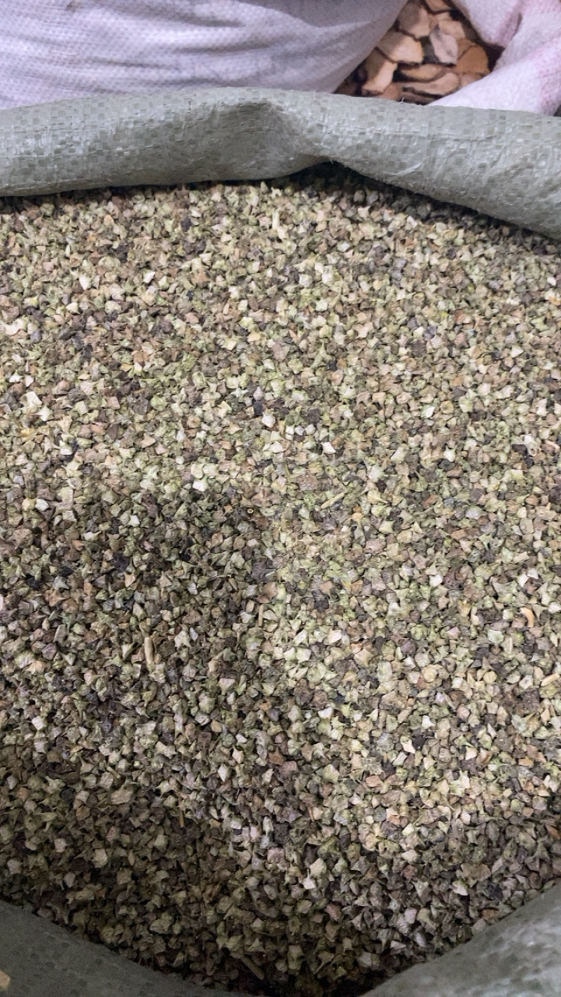 白蒺藜颜色好刺蒺藜青蒺藜供应各种中药材