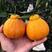 丑橘粑粑柑无籽化渣，一手货源大量价优保质保量