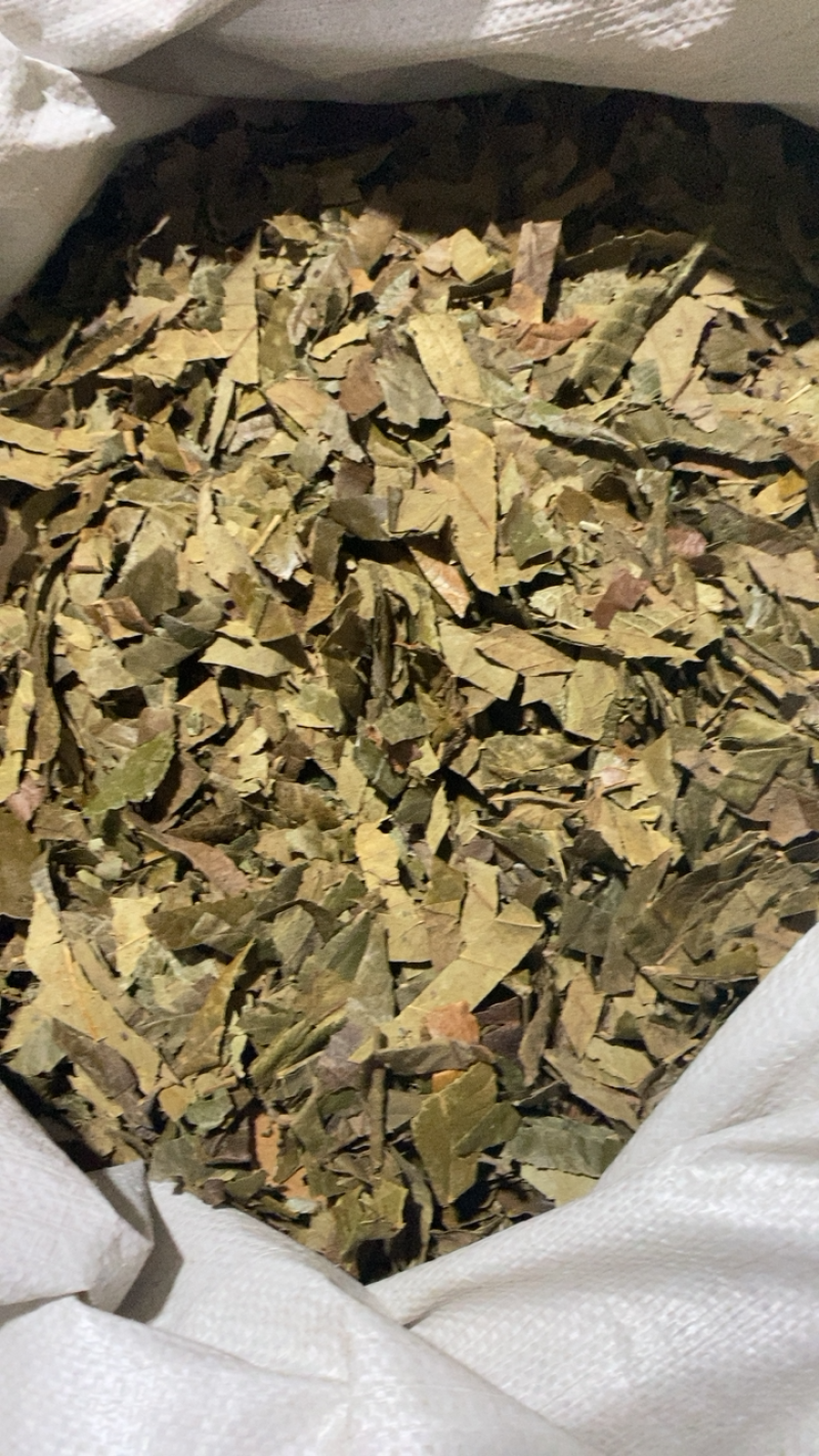 枇杷叶巴叶净货无杂质新货佳佳药业供应各种中药材