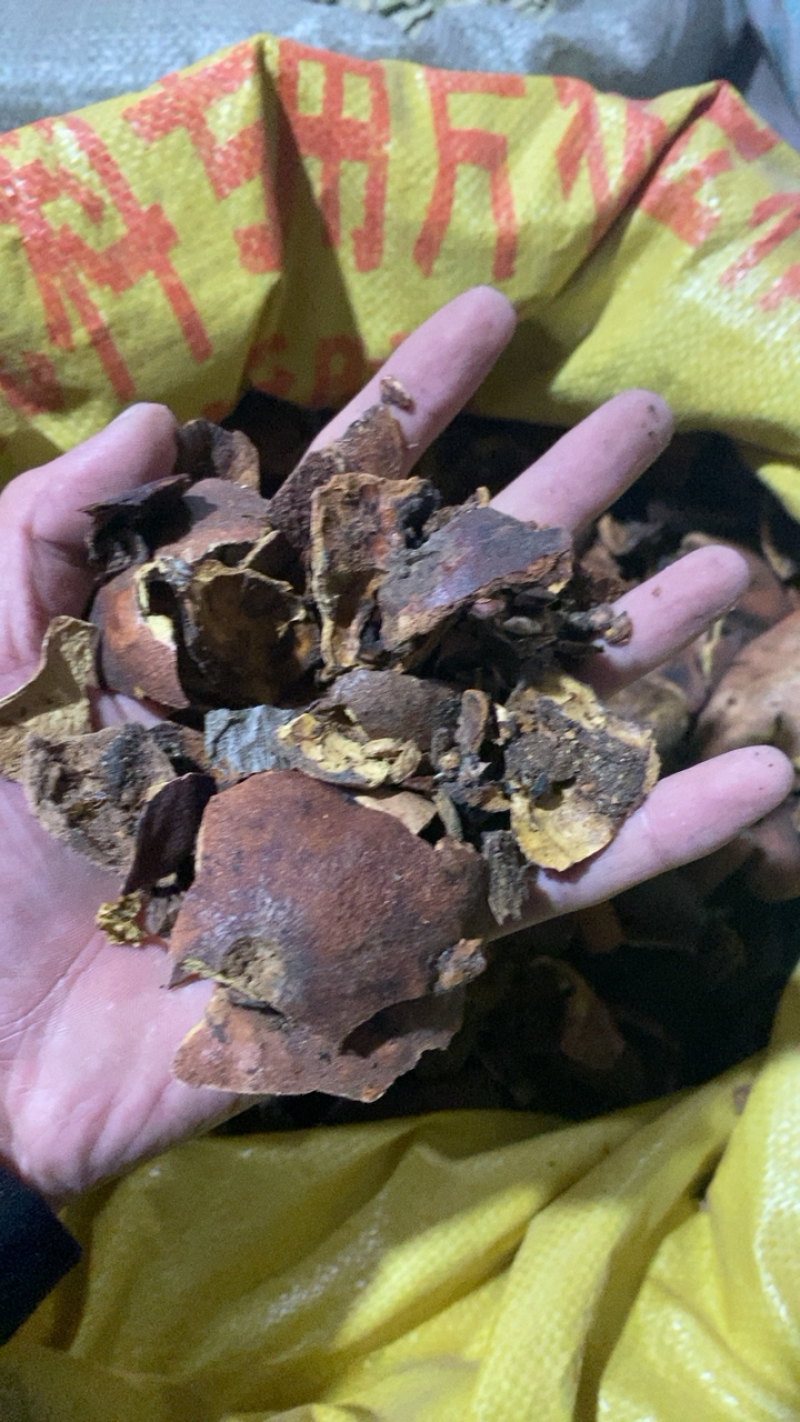石榴皮石榴壳干货大统货可打粉供应各种中药材