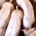出售原种太湖苏太约克长白二元母猪，全国三头起发货