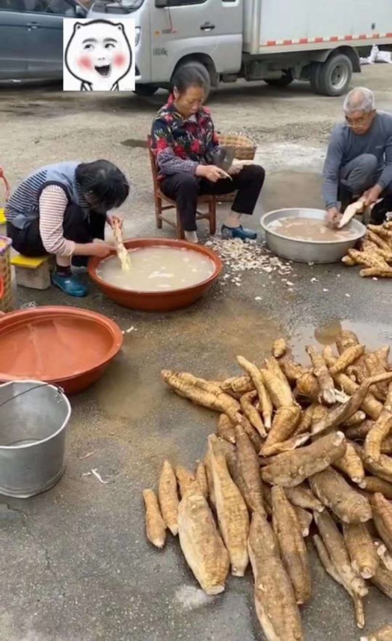 野生葛根粉，产地直发，一手货源，质量保证