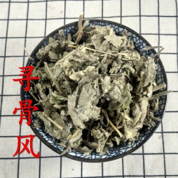 寻骨风清骨风干货中药材欢迎选购！