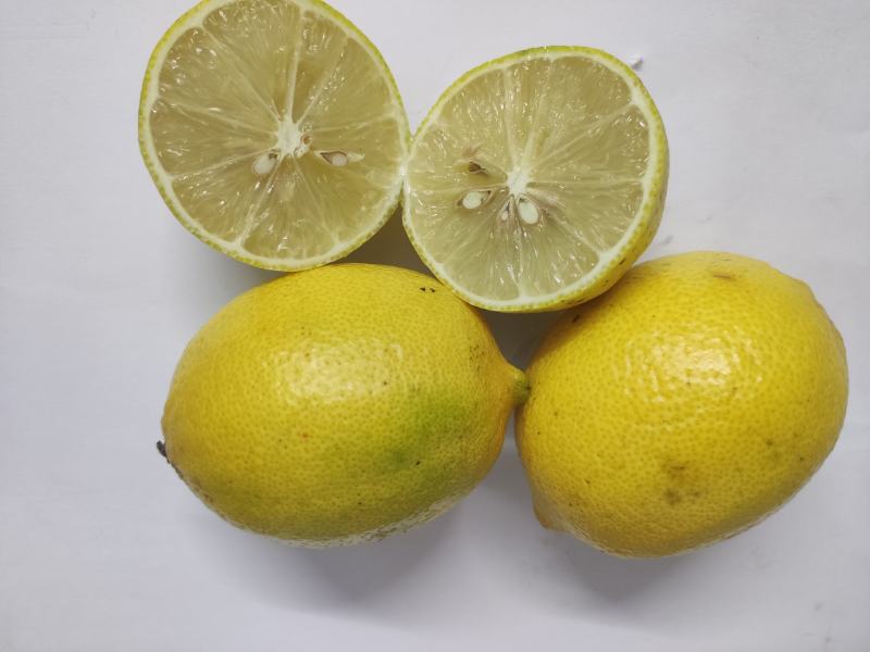 优力克次果榨汁果老果汁多皮薄汁多量大价优