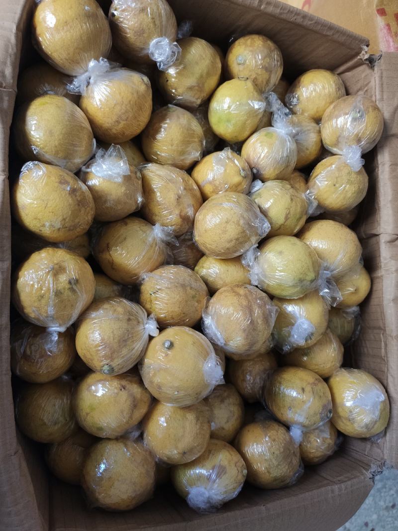 优力克次果榨汁果老果汁多皮薄汁多量大价优