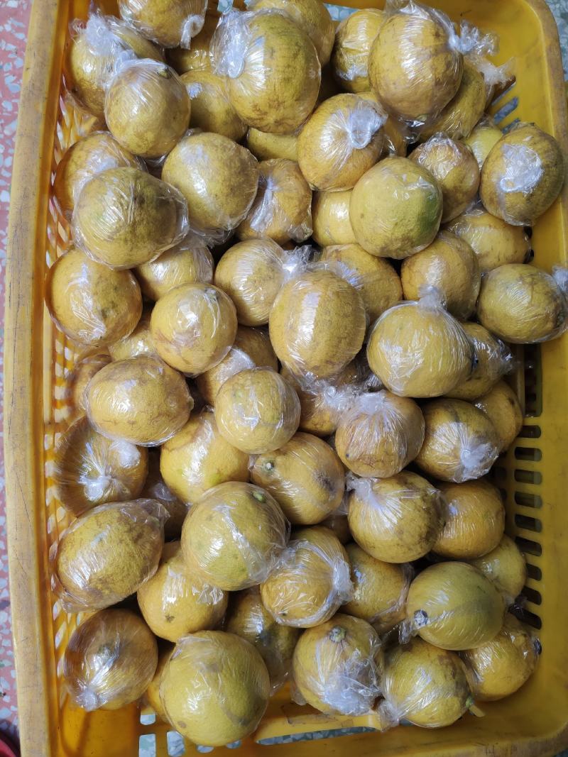 优力克次果榨汁果老果汁多皮薄汁多量大价优