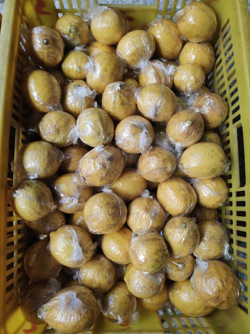 优力克次果榨汁果老果汁多皮薄汁多量大价优