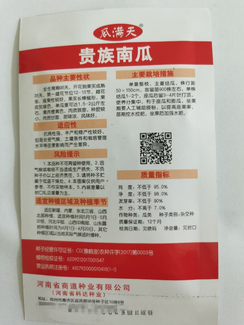 贵族南瓜种子牛腿南瓜金丝栗南瓜种籽春秋陆地种植早熟
