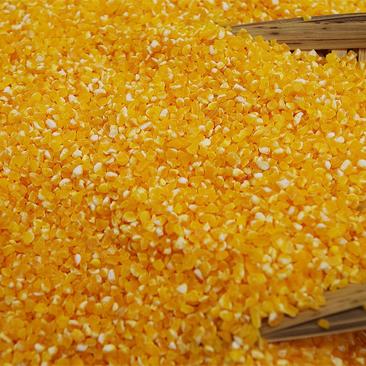 低温烘焙玉米渣玉米糁玉米粒五谷杂粮磨粉原料熟玉米渣
