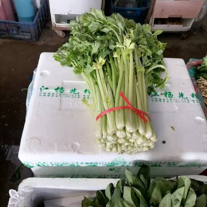 芹菜产区直发一手货源推荐可视频看货