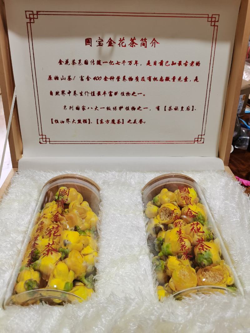 野生金花茶，一手货源，产地直发，质量保证