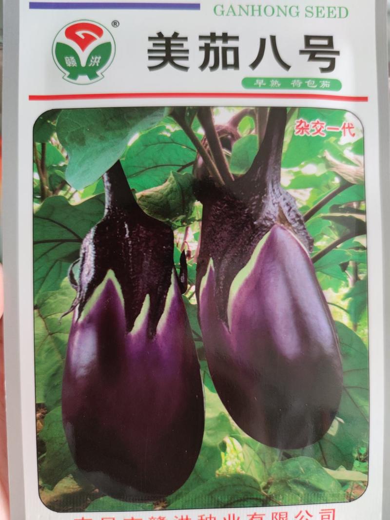 美茄八号茄子种子，1000粒紫红色荷包茄子种子果肉淡绿色