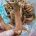 玉竹，玉竹片无硫色好质量保证，经营各种中药材欢迎咨询购买