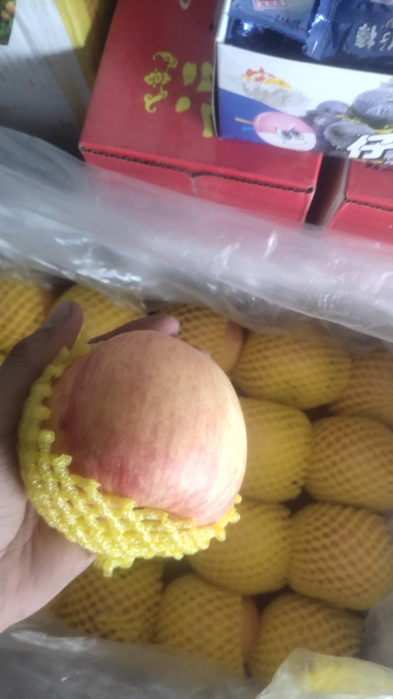 精品红富士