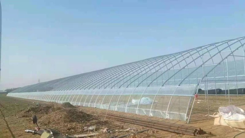 大棚骨架联动大棚单体大棚养殖大棚种植大棚