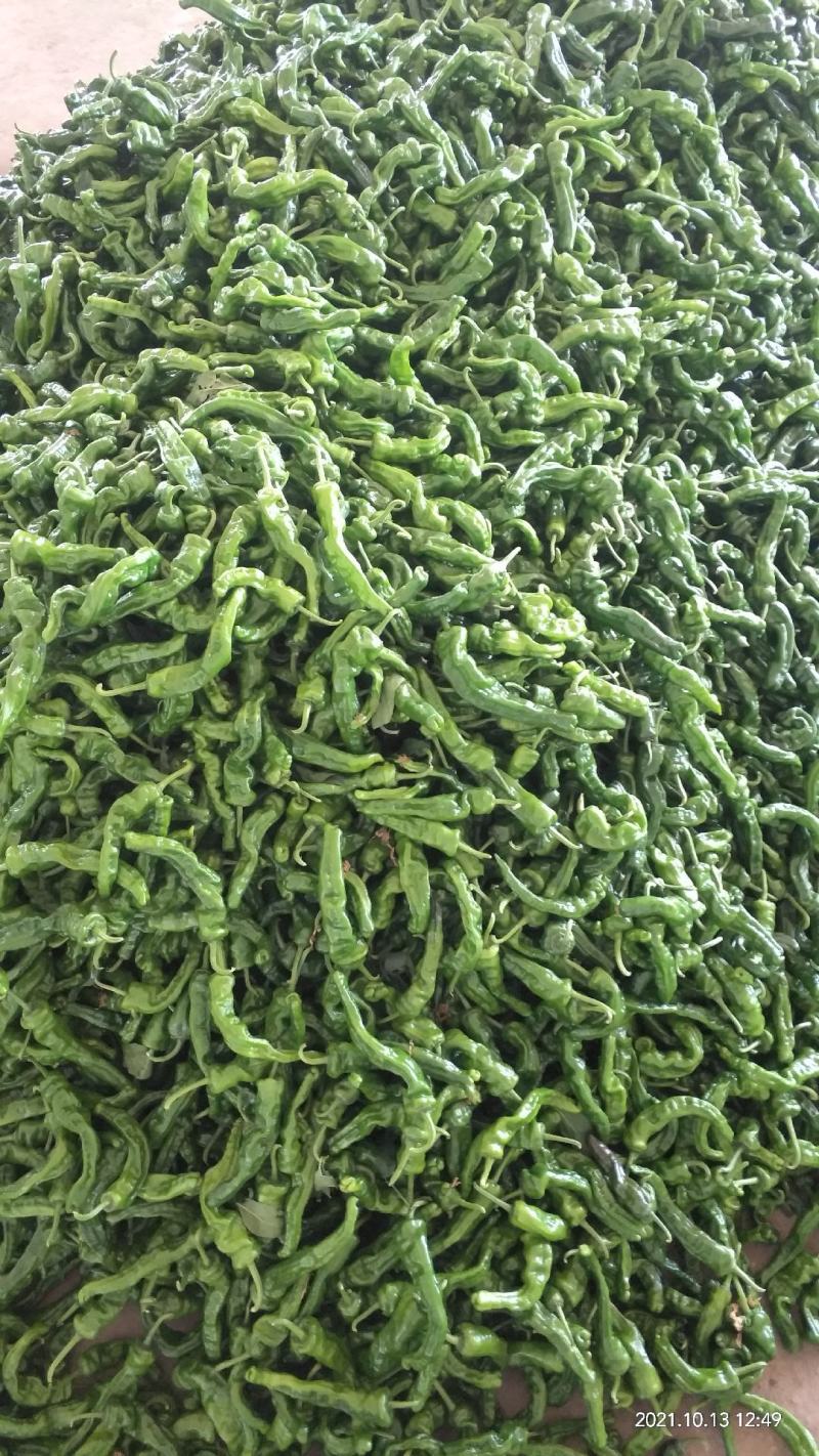 鲜辣椒，皱皮椒