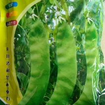 双花双荚软荚荷兰豆种子豌豆种籽秋冬季盆栽农家菜园蔬菜