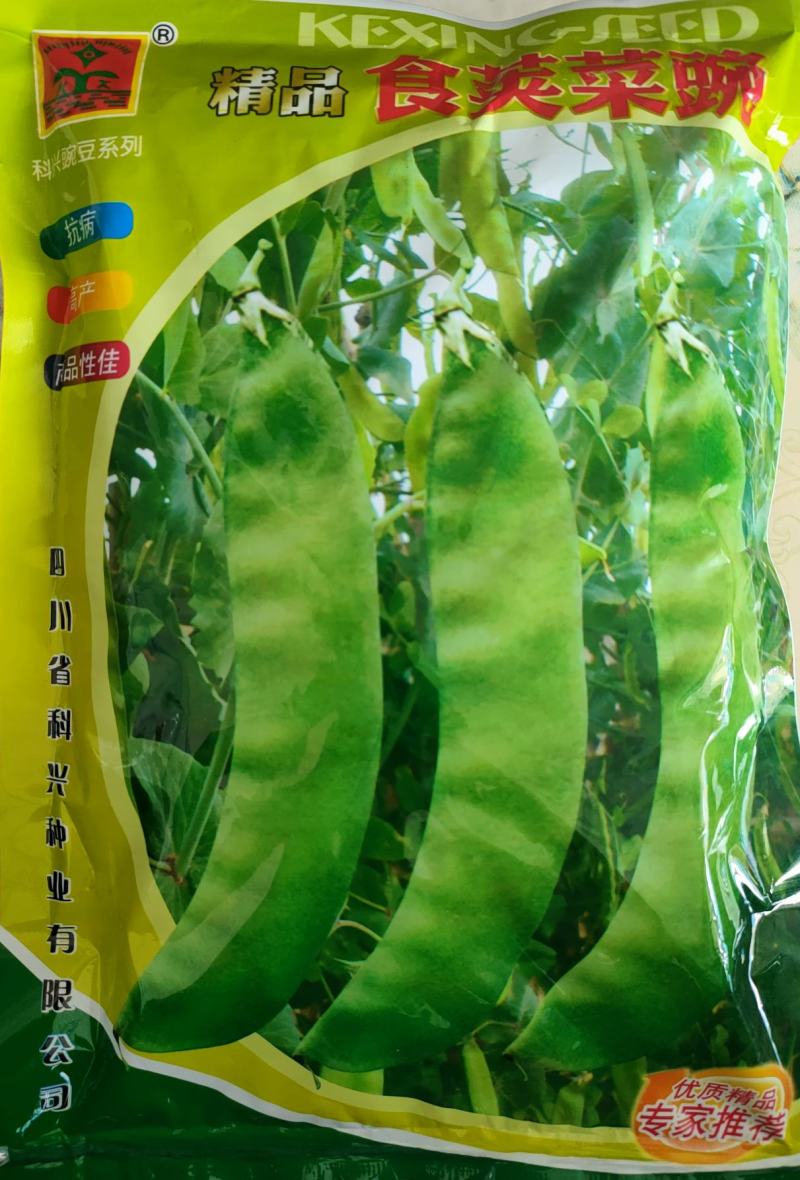 双花双荚软荚荷兰豆种子豌豆种籽秋冬季盆栽农家菜园蔬菜