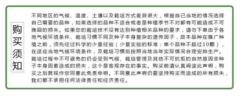双花双荚软荚荷兰豆种子豌豆种籽秋冬季盆栽农家菜园蔬菜