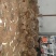 漂亮鸵鸟苗大量现货需要的可以联系