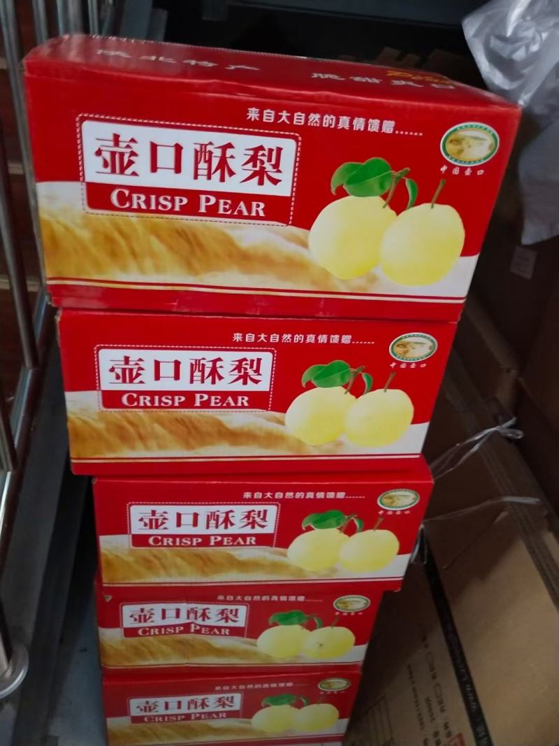 壶口酥梨