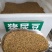 猪屎豆种子灌木种子三圆叶猪屎豆公路绿化种子护坡固土