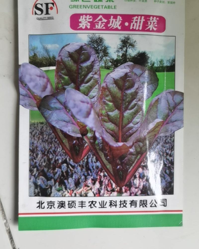 甜菜苗种子盘饰沙拉芽苗菜种籽四季种植蔬菜露地大棚