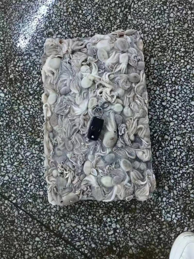 八爪鱼