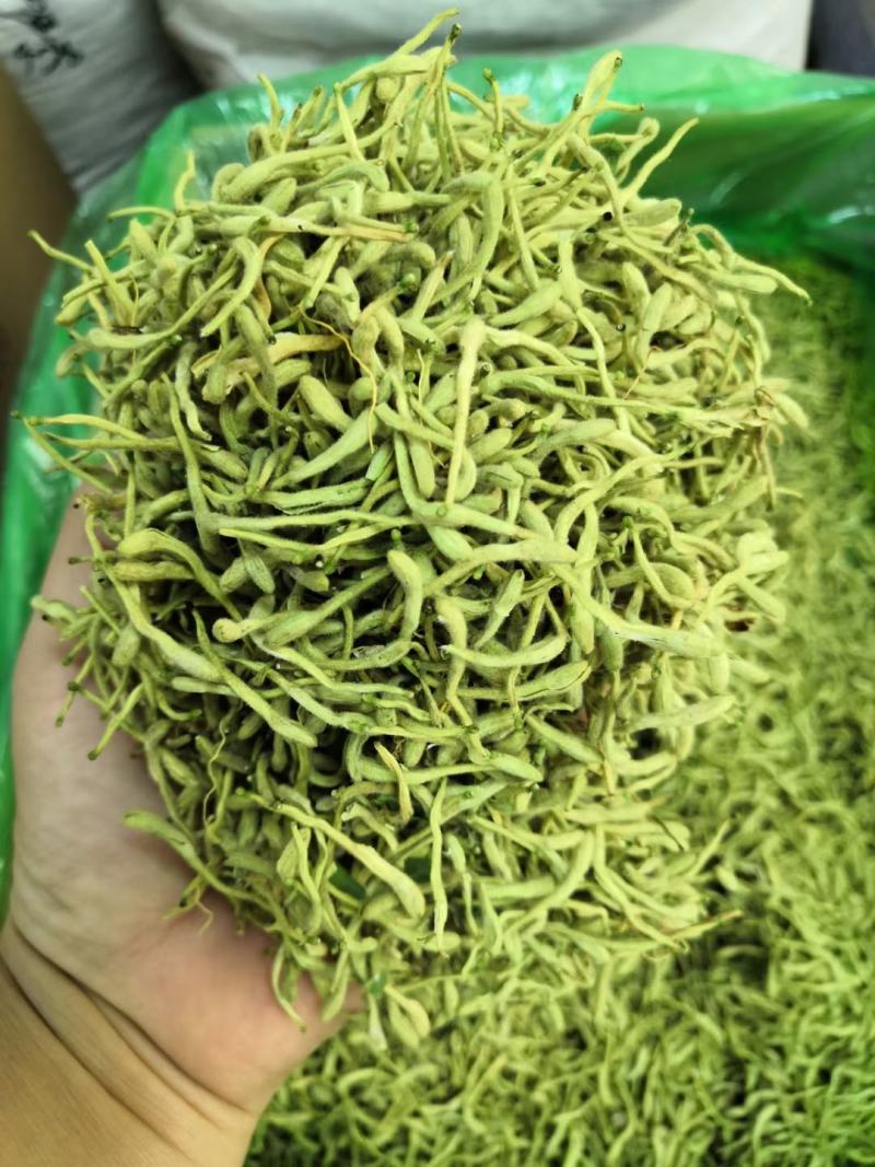 金银花，金银花，金银花，金银花，金银花，金银花